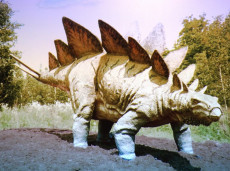 Dinosauři 1. B, 1. C